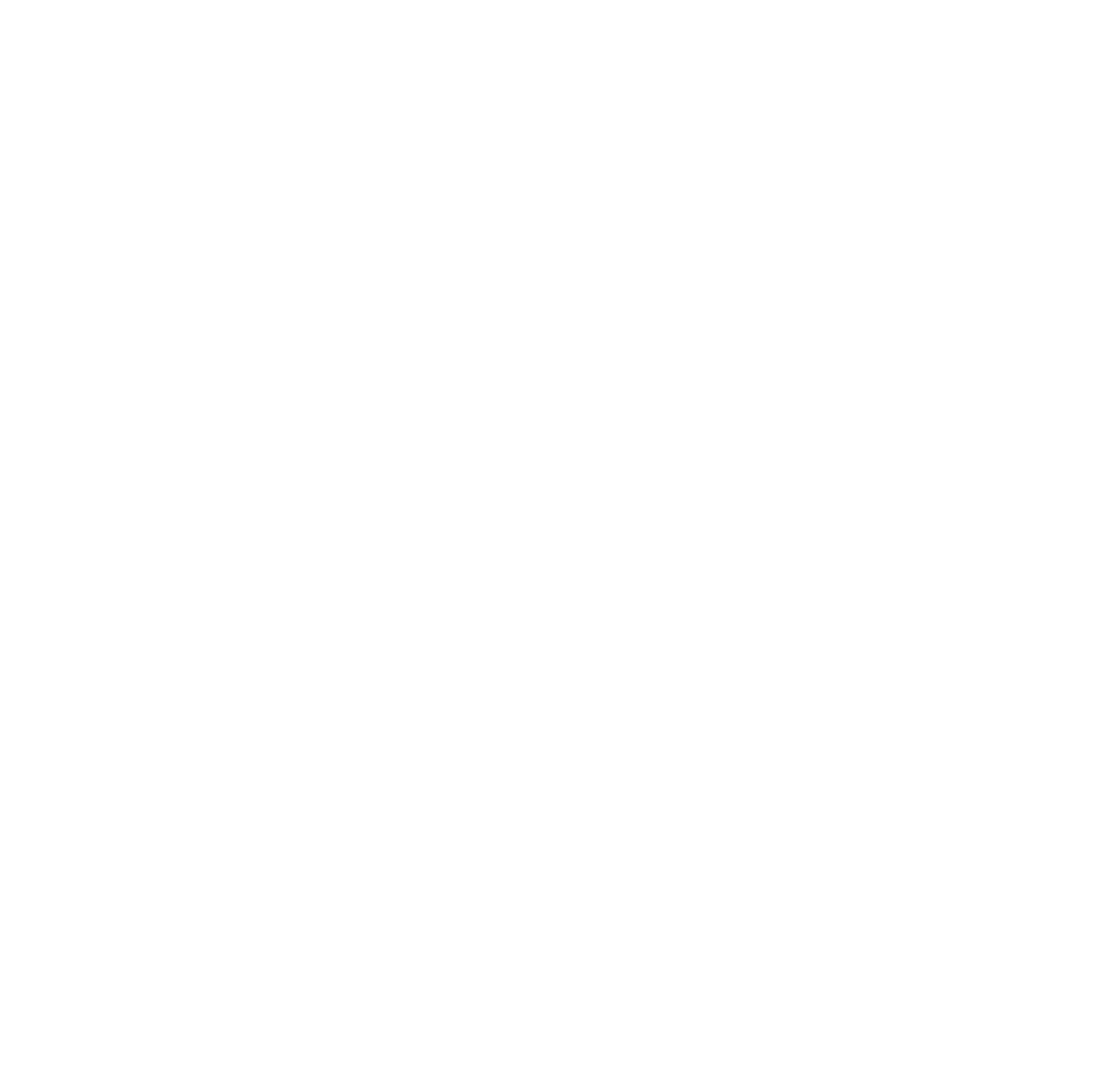 Craig Eriksson Logo
